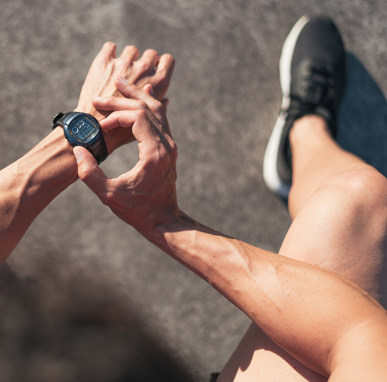 Track Progress & Stay Accountable